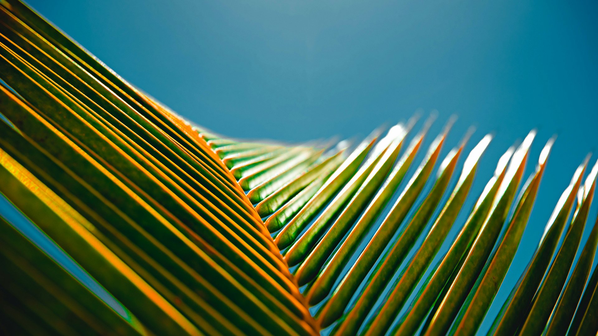 Net Zero Targets, Netto-Null-Ziele, Emissionsreduktion